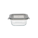 Dannyhome Контейнер пищевой DH-BXH07-02 (310 мл)